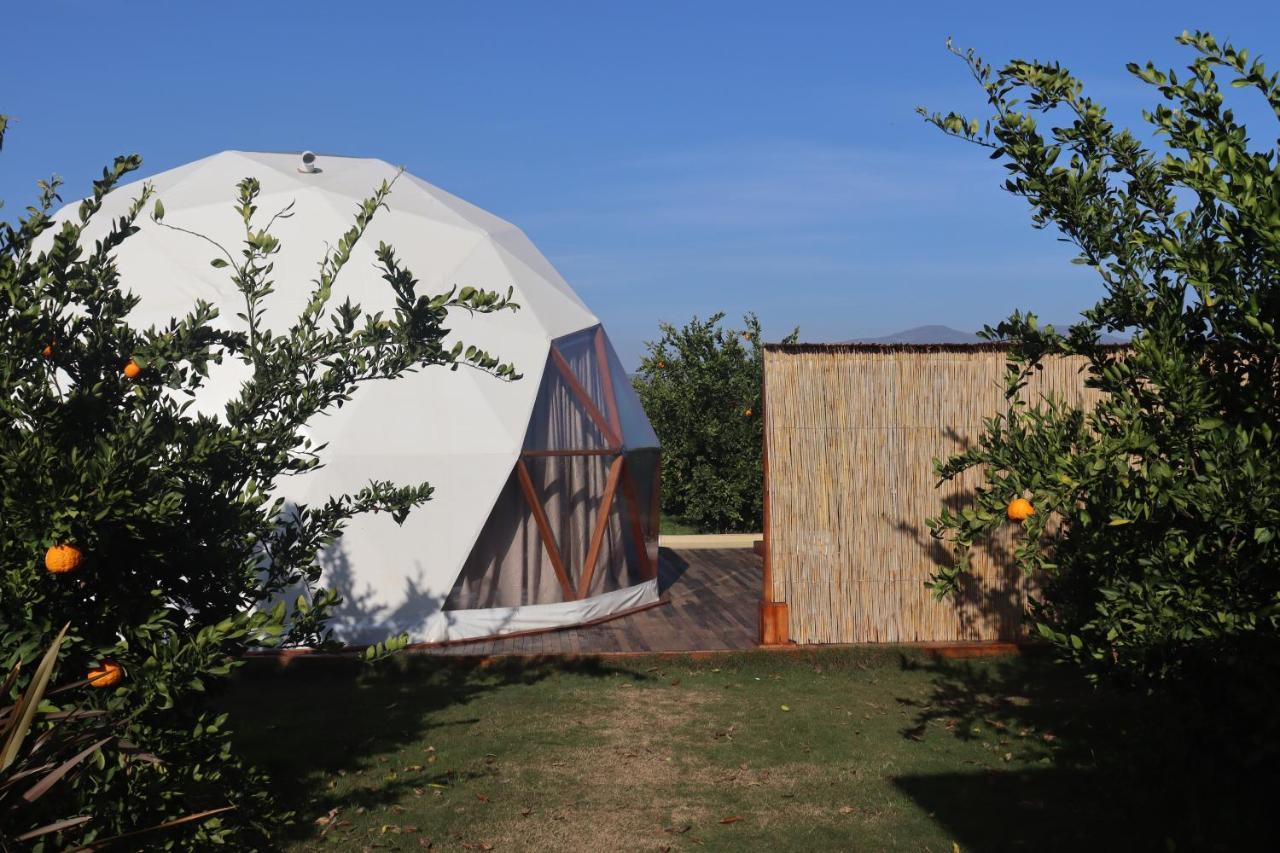 Hotel Mandalin Glamping Selçuk Exterior foto